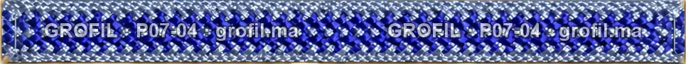 Sfifa sur commande, modèle P07-04