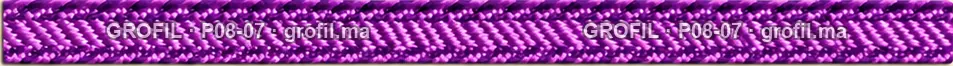 Sfifa sur commande, modèle P08-07