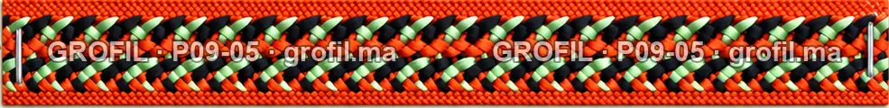 Sfifa sur commande, modèle P09-05