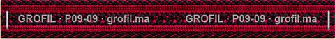 Sfifa sur commande, modèle P09-09