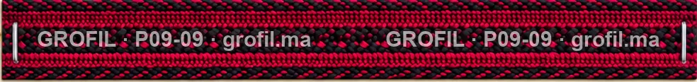 Sfifa sur commande, modèle P09-09