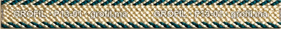 Sfifa sur commande, modèle P13-01
