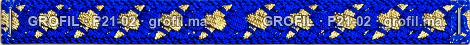 Sfifa sur commande, modèle P21-02