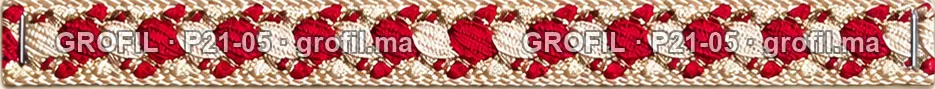 Sfifa sur commande, modèle P21-05