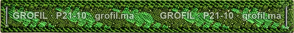 Sfifa sur commande, modèle P21-10