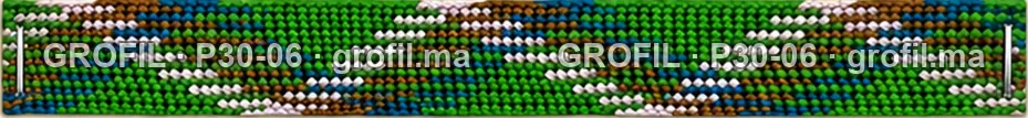 Sfifa sur commande, modèle P30-06