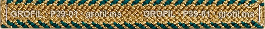 Sfifa sur commande, modèle P39-01