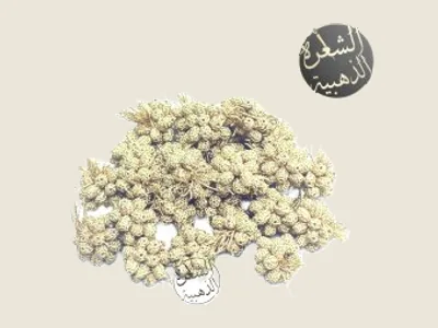 باكورة كارتيي