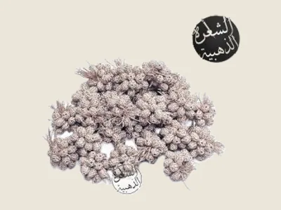 باكورة برونز
